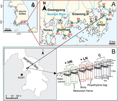 Use of mesocosm and field studies to assess the effects of nutrient levels on phytoplankton population dynamics in Korean coastal waters
